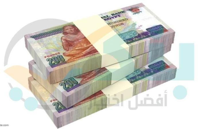 البنك المركزي: قروض القطاع العائلي ترتفع لـ 1.350 تريليون جنيها بنهاية أغسطس 2025 - بوابة نيوز مصر