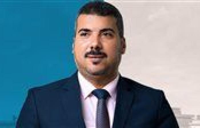 برلماني يرفض تغليظ عقوبات الكهرباء: الحل في المعالجة الفنية لا معاقبة المواطن - بوابة نيوز مصر