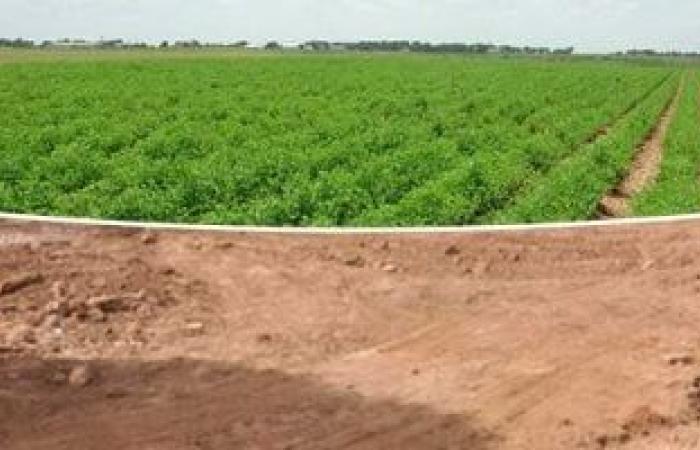 هل نشهد قريبا "سند الملكية الزراعية" لحماية المزارع على غرار "سند الملكية العقارية"؟ - بوابة نيوز مصر