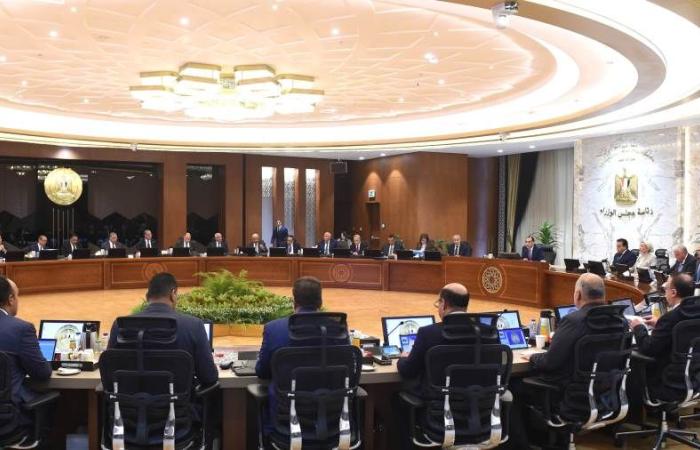 مجلس الوزراء يوافق على تعديل بعض بنود مُبادرة دعم القطاعات الصناعية ذات الأولوية بفائدة 15% - بوابة نيوز مصر