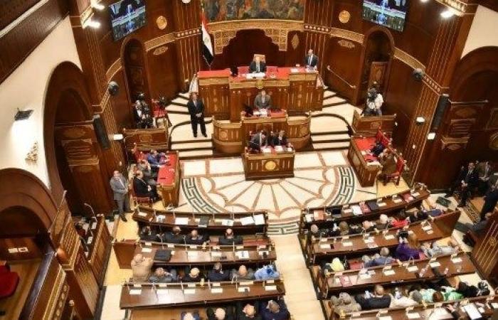 طلب مناقشة عامة بالشيوخ لبحث إجراءات حماية الأطفال من مخاطر الانترنت - بوابة نيوز مصر