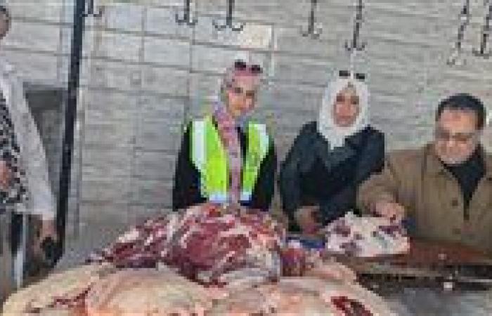 ضبط كميات كبيرة من اللحوم والدواجن والسلع مجهولة المصدر بالشرقية - بوابة نيوز مصر