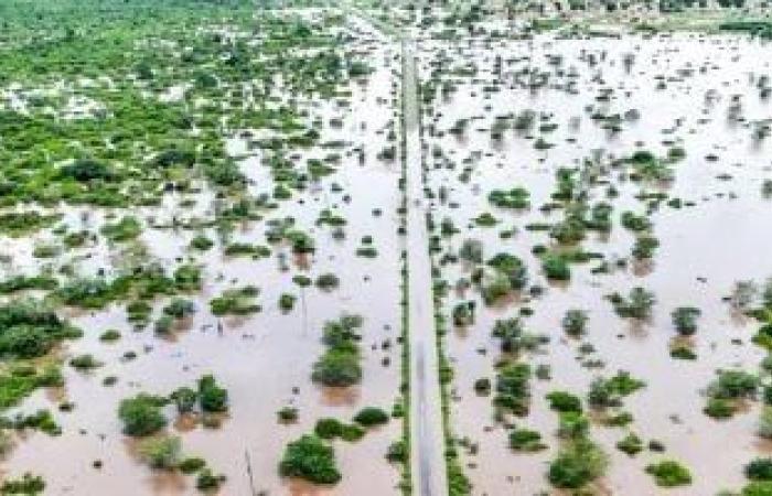 لماذا اقتحمت التماسيح الأحياء السكنية فى موزمبيق؟.. فيديو - بوابة نيوز مصر