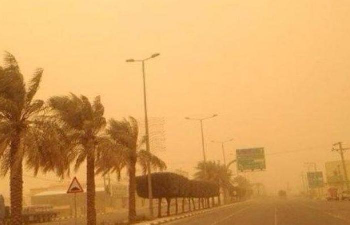 تدهور الرؤية في الصحراء الغربية.. الأرصاد تُصدر إنذارا جويا بسبب نشاط الرياح - بوابة نيوز مصر