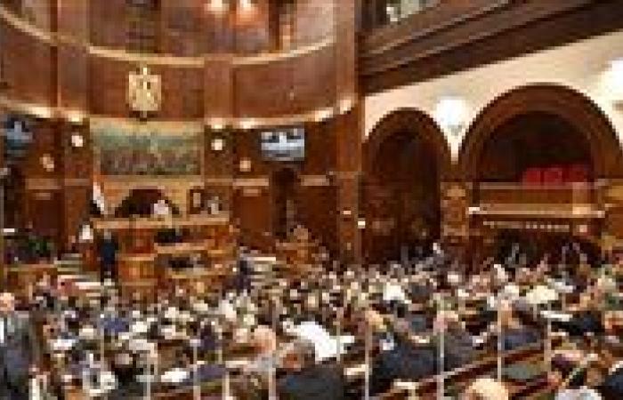 مجلس الشيوخ يناقش اقتراح النائبة ولاء هرماس بشأن تقييد منصة روبلوكس حماية النشء - بوابة نيوز مصر