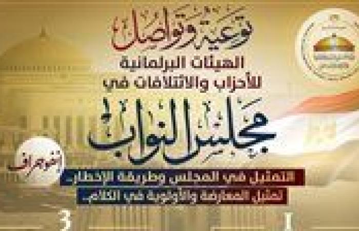 تعريف تمثيل الهيئات البرلمانية.. حق الحزب والائتلاف في اختيار ممثل وتحديد أعضائه - بوابة نيوز مصر