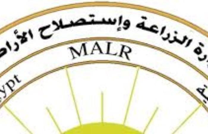 لا مبيدات مغشوشة ولا هرمونات.. الزراعة تكشف الحقيقة الكاملة وترد على الشائعات - بوابة نيوز مصر