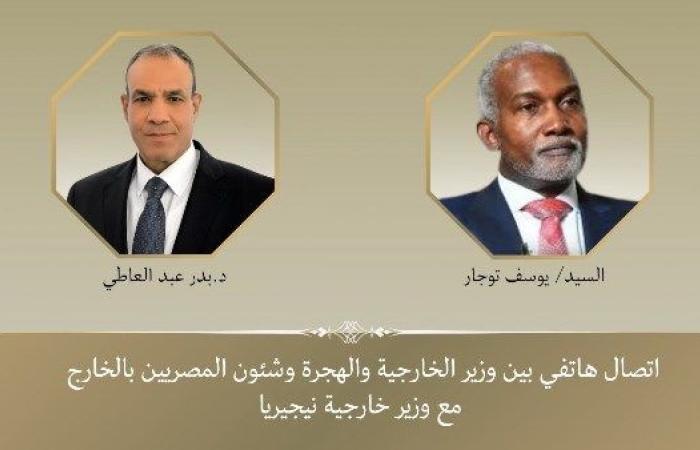 مصر تعلن دعمها الكامل لجهود القضاء على التنظيمات الإرهابية في وسط وغرب أفريقيا - بوابة نيوز مصر