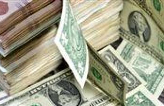 تجار السوق السوداء.. ضبط قضايا نقد اجنبي بقيمة 4 ملايين جنيه - بوابة نيوز مصر