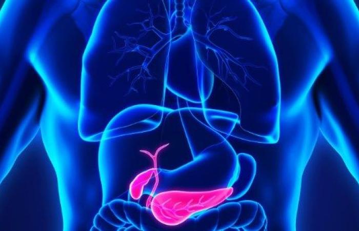 طفرة علمية جديدة.. علاج ثلاثي يقضي على سرطان البنكرياس - بوابة نيوز مصر