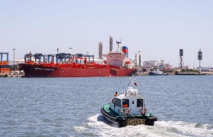 ميناء دمياط يحقق معدل تفريغ قياسي لحمولة السلاج بسفينة ZHI DA 88 - بوابة نيوز مصر