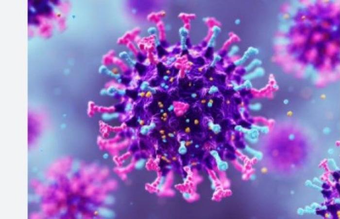 لن تتوقع.. لماذا أثار فيروس نيباه قلقا عالميا؟ - بوابة نيوز مصر