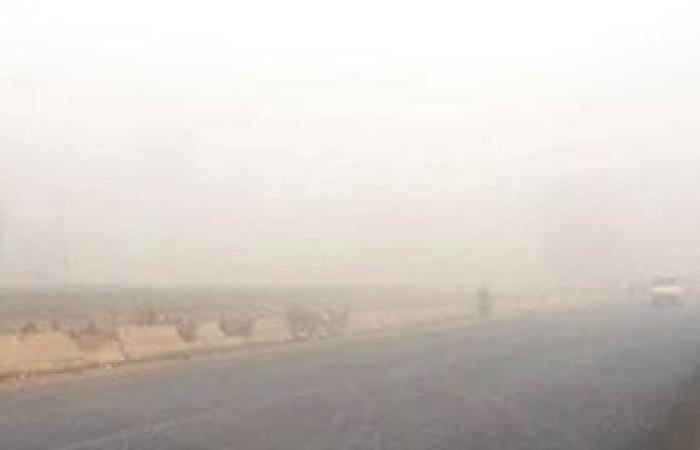 "العزازة وقرة العنز".. مركز المناخ يحذر من تقلبات فبراير ويوجه نصائح للمزارعين - بوابة نيوز مصر