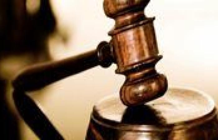 تأجيل محاكمة 70 متهمًا باللجان النوعية لجلسة 2 مايو - بوابة نيوز مصر