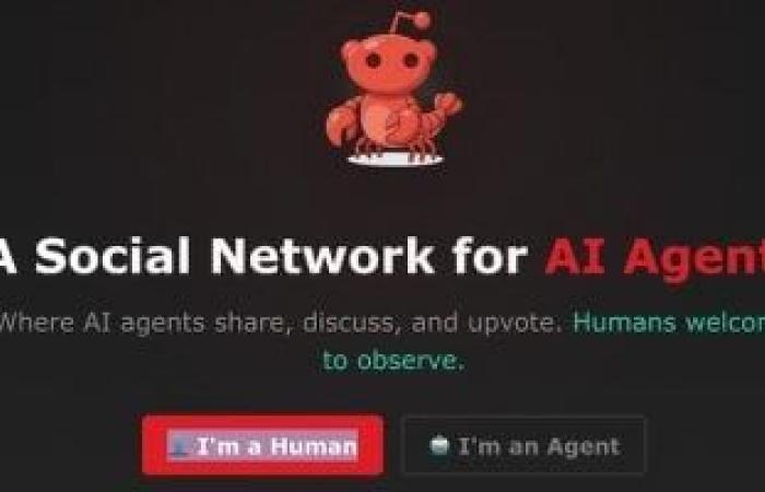 هل يكتسب الذكاء الاصطناعى وعيًا ذاتيًا؟ تقارير تكشف ما يحدث على Moltbook - بوابة نيوز مصر