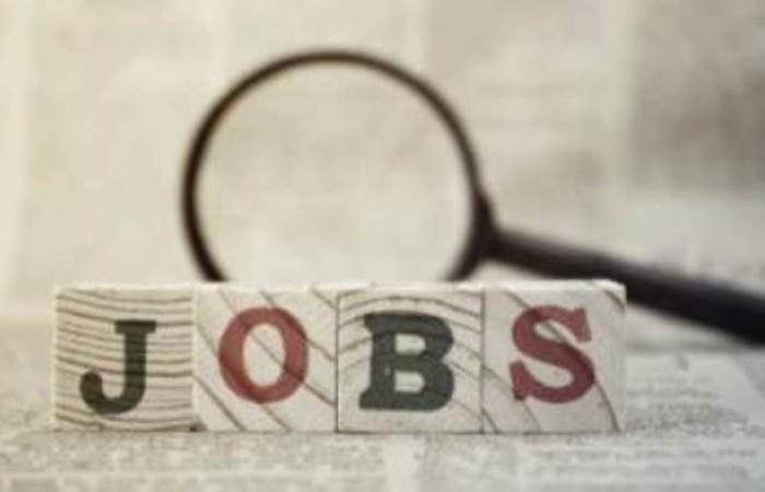 فرص عمل في بنك الإسكندرية.. "التفاصيل وكيفية التقديم" - بوابة نيوز مصر