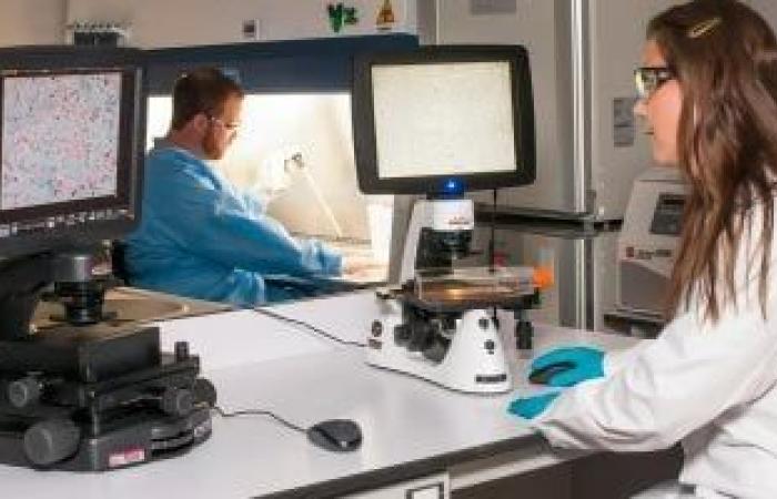 اليوم العالمى للسرطان.. فحوصات روتينية تساعد فى الكشف المبكر والعلاج - بوابة نيوز مصر