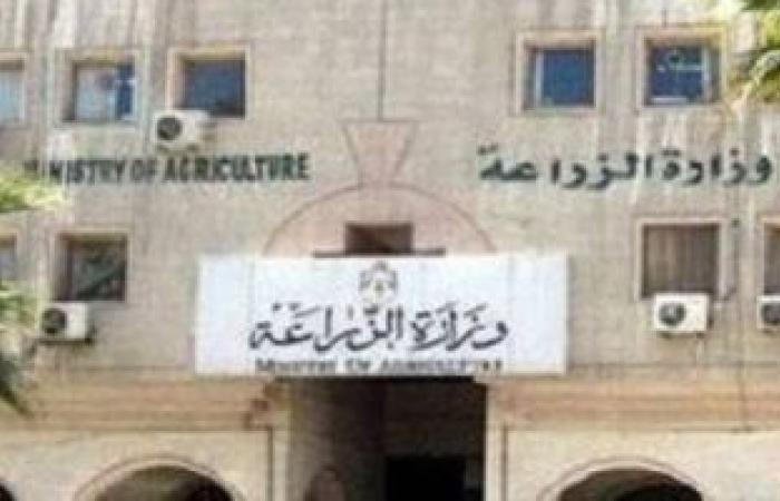 وزارة الزراعة: توزيع 653 ألف طن أسمدة على المزارعين منذ بداية الموسم الشتوى - بوابة نيوز مصر