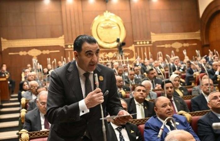 غنيم : زيارة أردوغان للقاهرة تعكس صعود مصر كمحور استقرار إقليمي - بوابة نيوز مصر