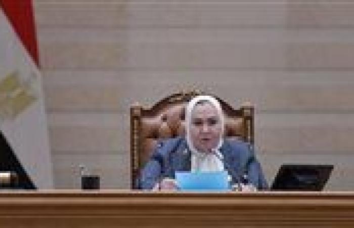 عبلة الهواري: الخلل في تطبيق قانون المواريث لا في نصوصه… ودعم منتظر لدراسة «الحمامصي» لحماية حقوق النساء - بوابة نيوز مصر