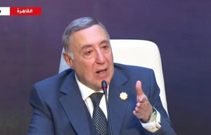 رئيس المحكمة الدستورية يقدم الشكر لـ الرئيس السيسي - بوابة نيوز مصر