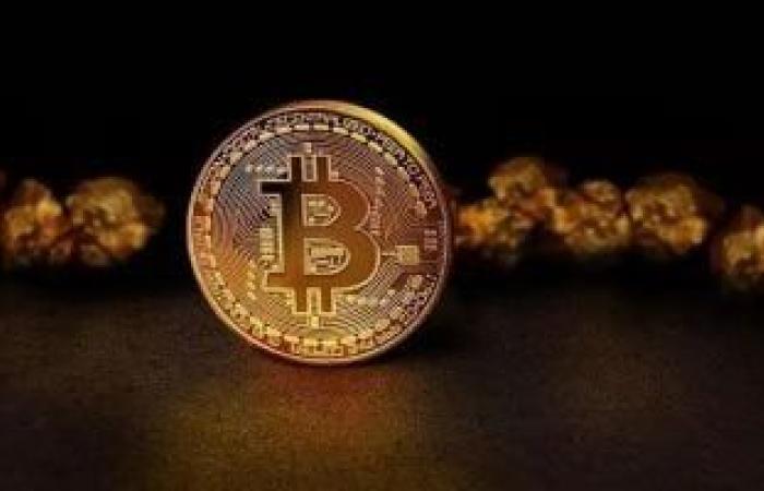 بعد محو مكاسب "حقبة ترامب".. بيتكوين ترتد فوق 68 ألف دولار وسط أسبوع متقلب - بوابة نيوز مصر