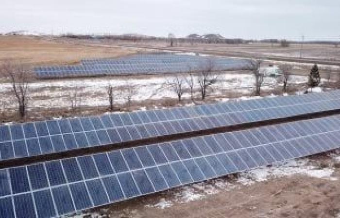 الطاقة الشمسية شهدت نموًا غير مسبوق فى إفريقيا خلال عام 2025 - بوابة نيوز مصر