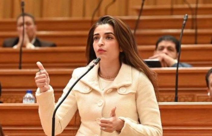 إيرين سعيد: التعديل الوزاري يجب أن يقدم سياسات فعلية وخططا اقتصادية واضحة - بوابة نيوز مصر