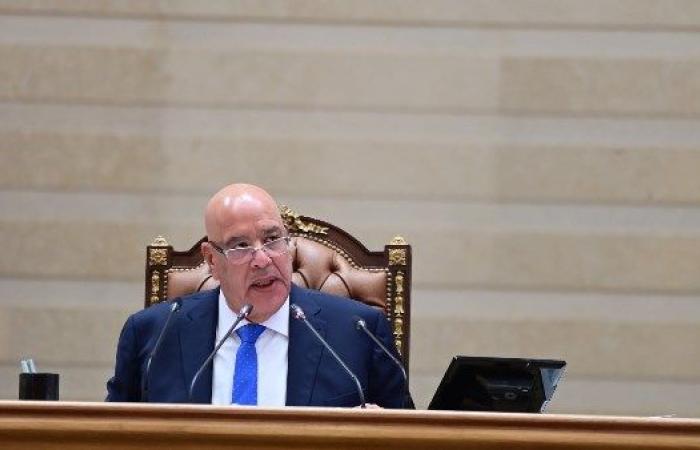 التعديل الوزاري| رئيس مجلس النواب: عبد الغفار للصحة ومنال عوض للبيئة والتنمية المحلية - بوابة نيوز مصر