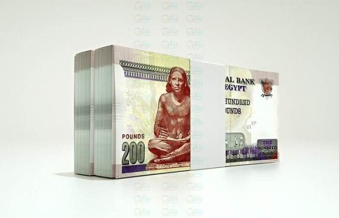 المؤسسات تهيمن على محفظة تمويلات العملاء ببنك بيت التمويل الكويتي – مصر بنهاية 2025 - بوابة نيوز مصر