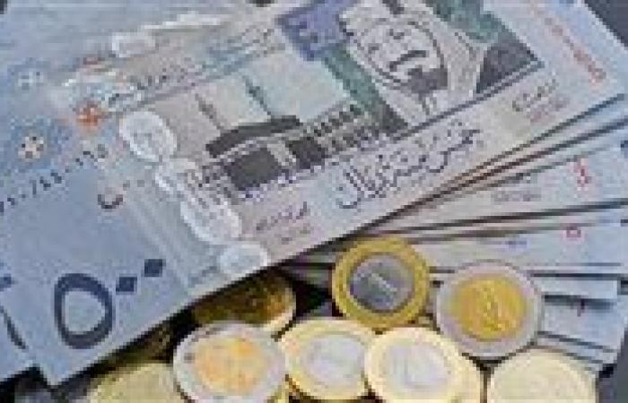 سعر الريال السعودي اليوم.. تحركات جديدة تثير اهتمام السوق - بوابة نيوز مصر