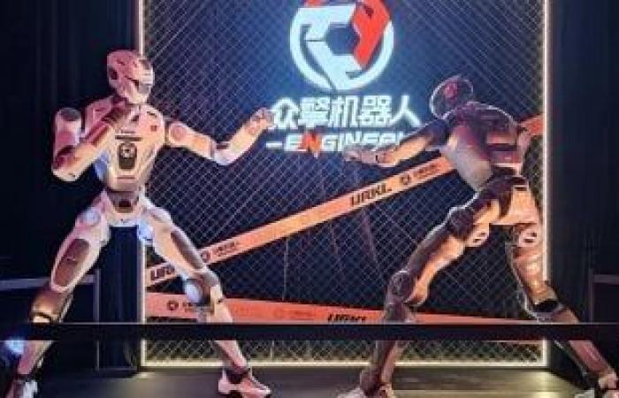 الصين تطلق أول دورى قتالى للروبوتات الشبيهة بالبشر.. وحزام ذهبى للفائز - بوابة نيوز مصر
