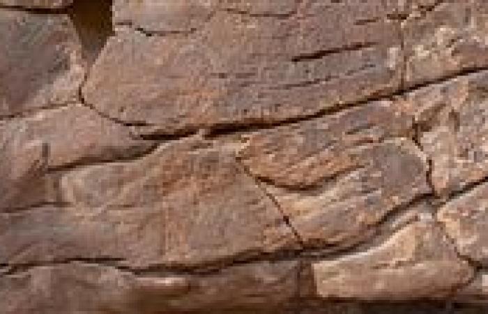 اكتشاف موقع أثري جديد بجنوب سيناء يزيح الستار عن أسرار 10 آلاف عام من تاريخ الفن الصخري - بوابة نيوز مصر