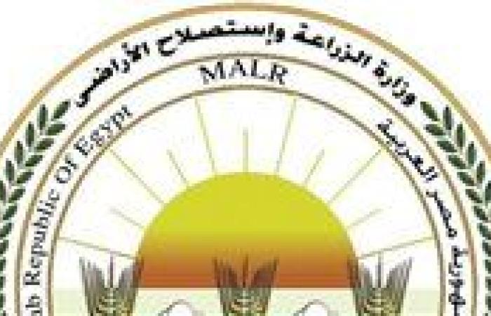 إقبال واسع على حجز «معرض زهور الربيع 2026» بمشاركة أكثر من 50 عارضا خلال أسبوع - بوابة نيوز مصر