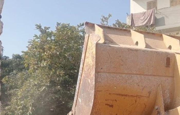 حماية الرقعة الزراعية | إزالة 1300 حالة تعد خلال أسبوع بجميع المحافظات - بوابة نيوز مصر