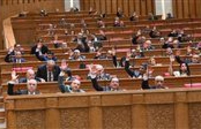 اليوم.. «العلاقات الخارجية» تقر خطة عملها وتستعد لاجتماعات مع مساعدي وزير الخارجية - بوابة نيوز مصر