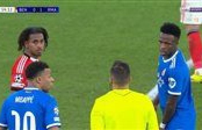 بنفيكا ضد الريال.. استئناف مباراة ريال مدريد وبنفيكا بعد توقف بسبب العنصرية - بوابة نيوز مصر