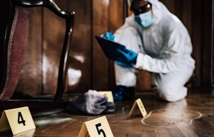 مقتل فكهاني طعنته زوجته بعد خلافات بينهما بالهرم - بوابة نيوز مصر