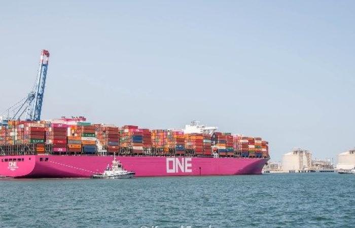 ميناء دمياط يتداول 24 سفينة للحاويات والبضائع العامة - بوابة نيوز مصر