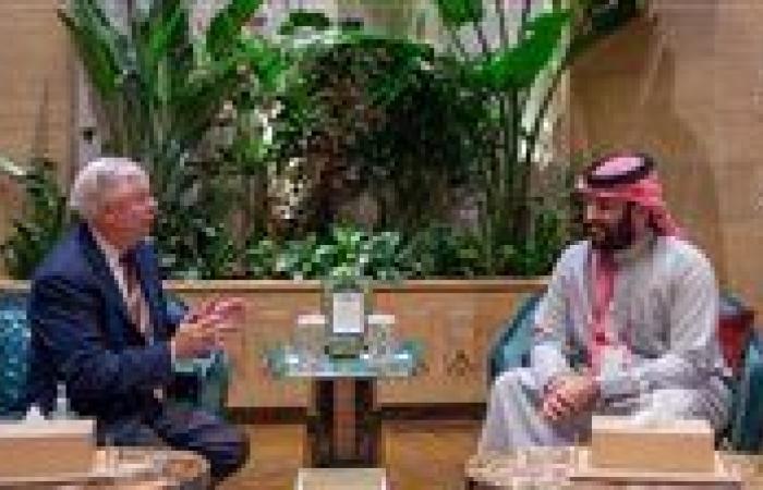 جراهام يبحث التوترات الإقليمية بالرياض بعد ساعات من لقاء بن زايد بأبوظبي - بوابة نيوز مصر