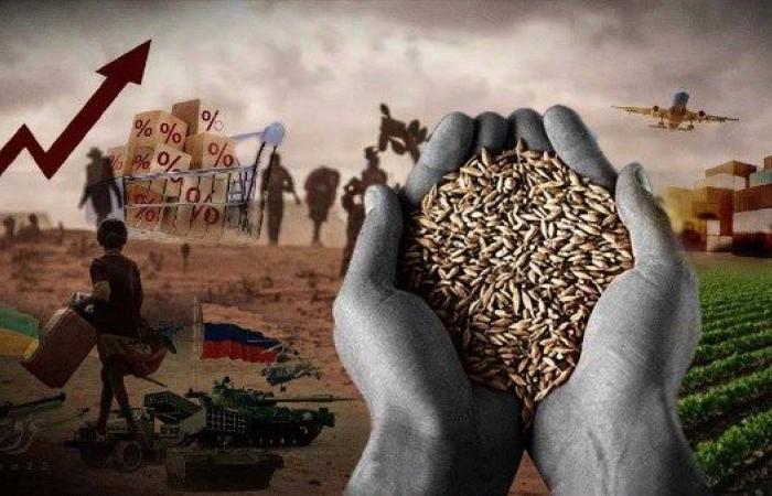 برلماني: إعادة تشغيل المشروعات الزراعية خطوة حاسمة لتعزيز الأمن الغذائي وفرص العمل - بوابة نيوز مصر