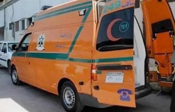 مصرع شاب في انقلاب جرار زراعي بالوادي الجديد - بوابة نيوز مصر