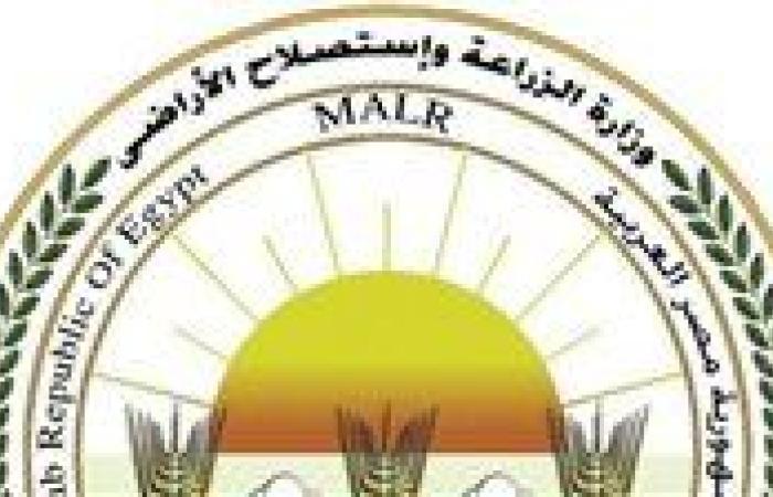 وزارة الزراعة: جهود مكثفة لمعاهد ومعامل "البحوث الزراعية" لدعم المحاصيل الاستراتيجية وتعزيز سلامة الغذاء - بوابة نيوز مصر