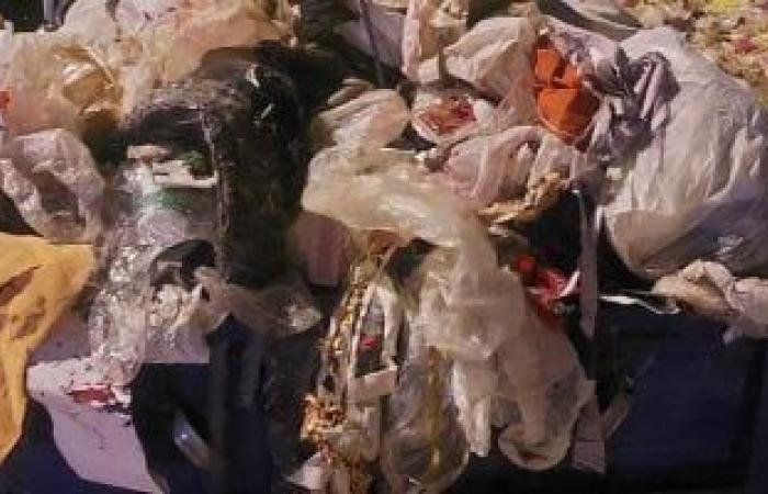 محافظ الجيزة: حملات مكثفة على مستوى الأحياء لمواجهة النباشين والفريزة - بوابة نيوز مصر