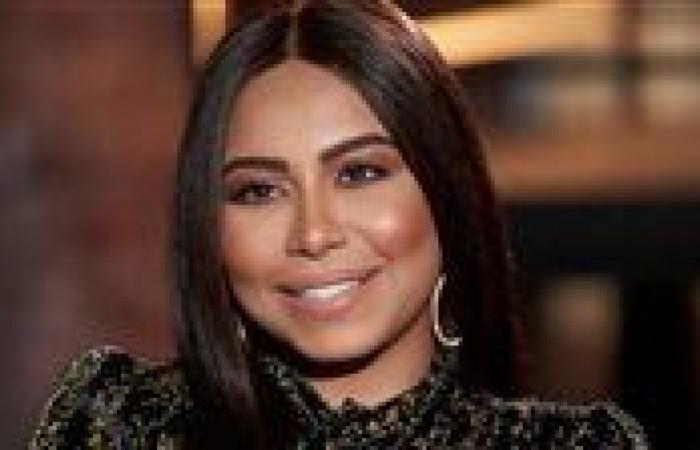 الاستيلاء على حسابات شيرين عبدالوهاب.. المتهم استغل الصفحات لتحقيق أرباح غير مشروعة - بوابة نيوز مصر