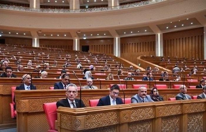 طلب إحاطة فى النواب لإنقاذ المشروعات الصغيرة من التعثر التمويلي - بوابة نيوز مصر