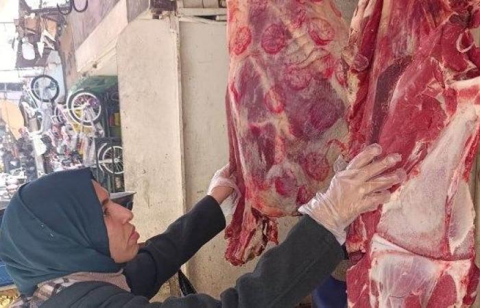 حملات تفتيشية بمحلات الجزارة والأسماك وتنفيذ أعمال تطهير مكثفة لأسواق الطيور بأسوان - بوابة نيوز مصر