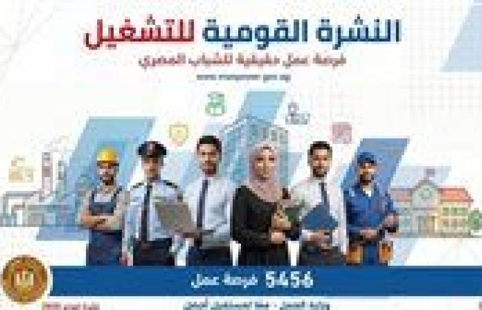 عاجل.. 5456 فرصة عمل جديدة بمرتبات مجزية - بوابة نيوز مصر