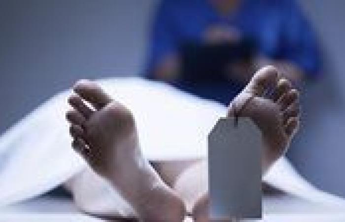 مصرع عامل إثر صعق كهربائي في مزرعة بمنشأة القناطر - بوابة نيوز مصر