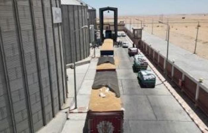 تقرير الحسابات يكشف: ملايين معطلة ومخالفات تضغط على أرباح مطاحن مصر الوسطى - بوابة نيوز مصر